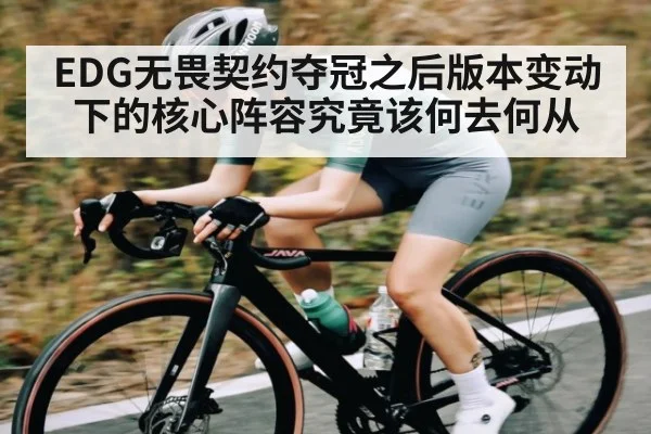 EDG无畏契约夺冠之后版本变动下的核心阵容究竟该何去何从
