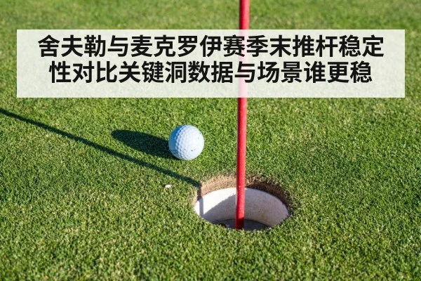 舍夫勒与麦克罗伊赛季末推杆稳定性对比关键洞数据与场景谁更稳